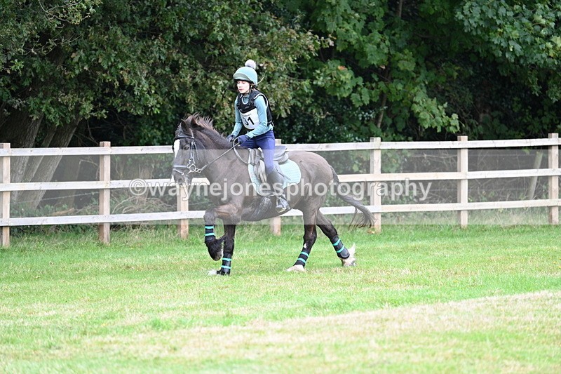WJ7_7661 - 40cm Time 10:49 to 11:18
