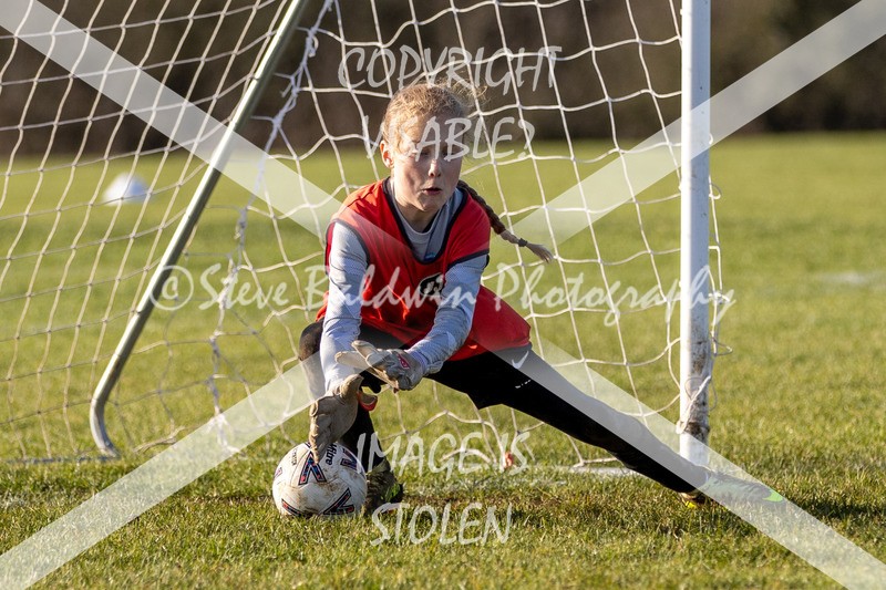 1DX31330 - 2026-01-17 FC Abbey Meads U9 Purple Girls V Develop FC U9 Girls