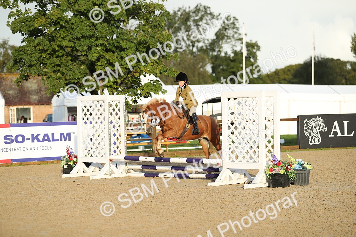 SBM_34137 - J60 Clear Round 50cm