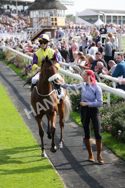 yr05092021r2-12 - Race 2 2.40pm John and Judith Marshall Memorial Stakes
