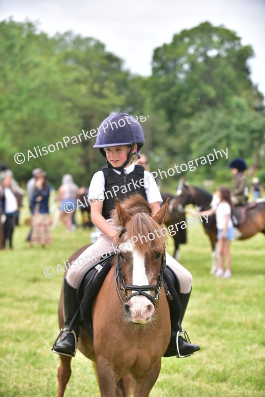 20260614-2683 - Class 13 - Pony Club Pony