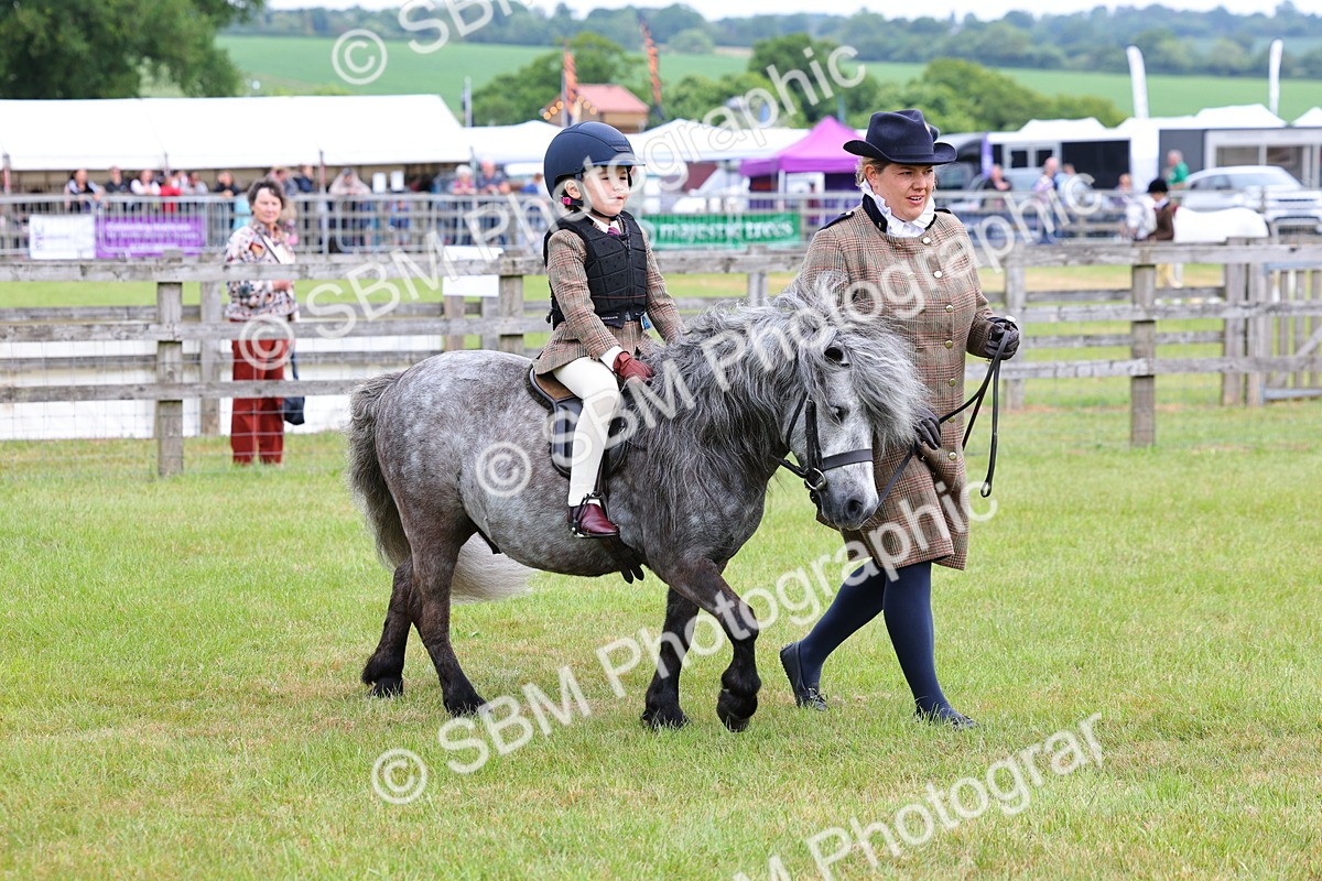 SBM_08112 - Class 42-43 - LIHS BSPS Heritage Working Sports Pony