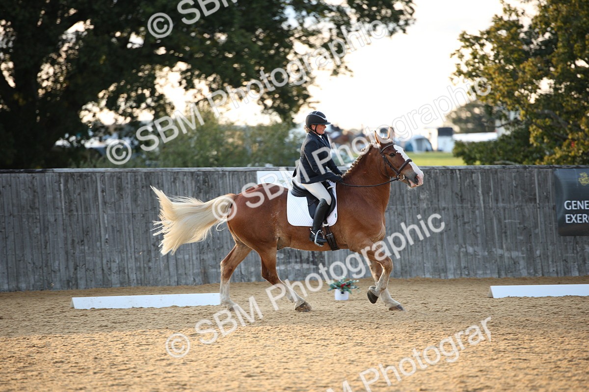 SBM_31535 - D11 - Small Tour Championship - Prelim 13