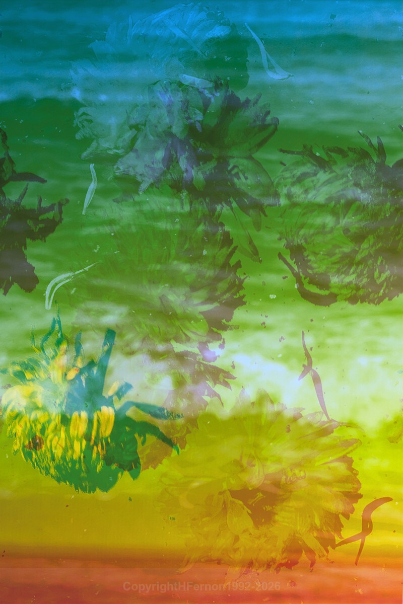 ENTROPY TRIPTYCH l-lll - ENTROPY 2023