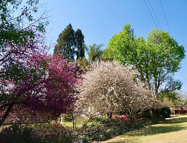 Street View Of St Paul's Church - NEW GALLERY AS A SOUTH AFRICAN RESIDENT