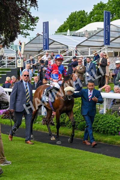 160524-Race 5-Big Evs-6407 - Race 5 4.15pm  British Stallion Studs EBF Westow Stakes