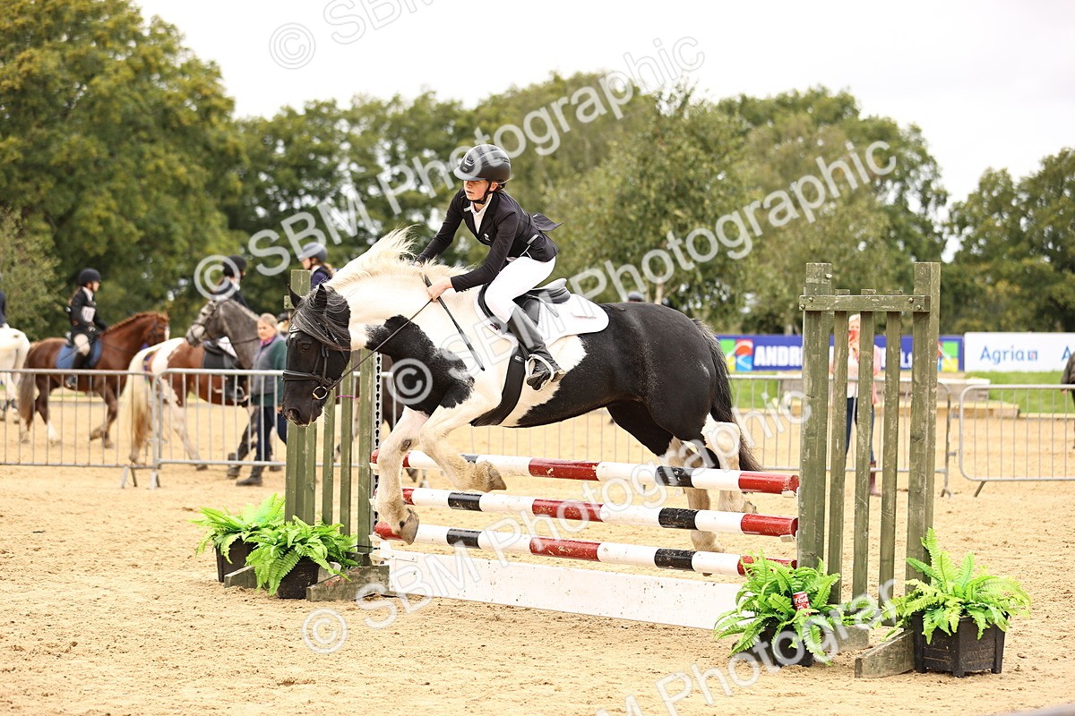 SBM_65586 - J17 - Junior Pony 80cm Championship