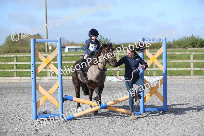 20260412-0040 - Show Jumping
