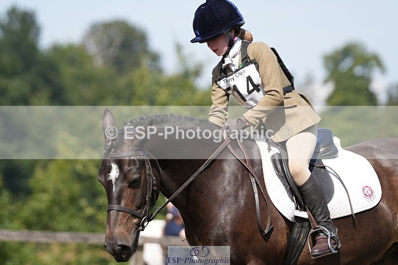 250823A-113921-28251 - Arena A