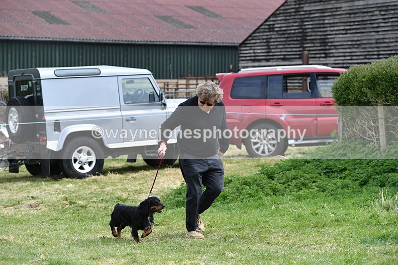 WJ5_9533 - Class 3 Most Handsome Dog