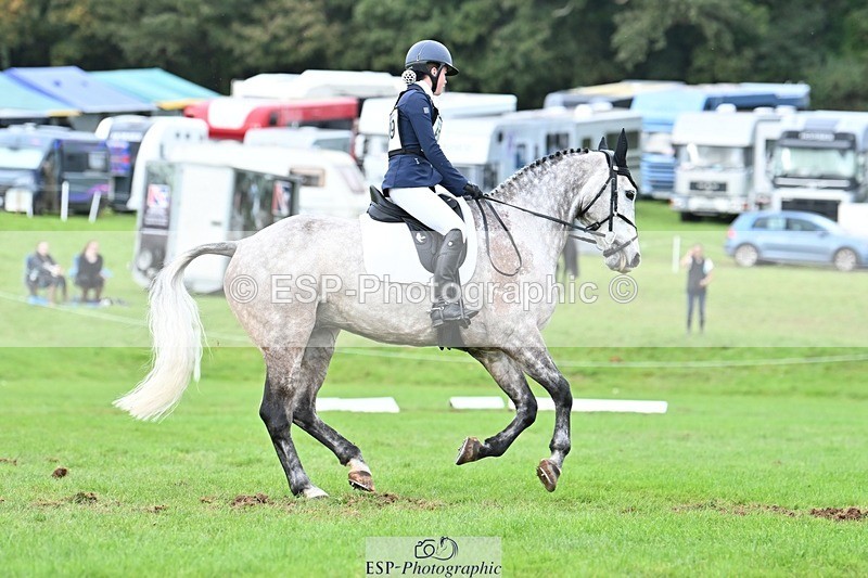 231020-154954-11574 - 689-SHANNONDALE.GOLD.RUSH-Eliza.Bradford-DR