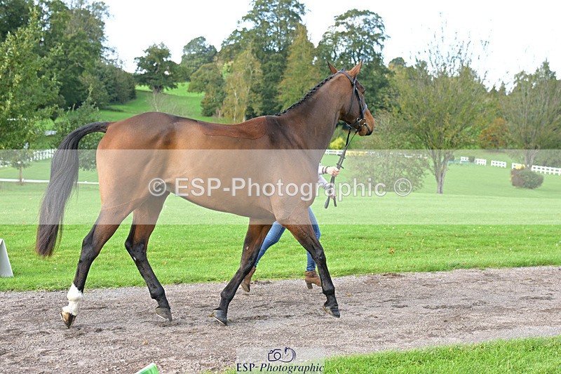 241023-131435-00151 - 009-Louisa.Lockwood-GRANTSTOWN.AMADEUS