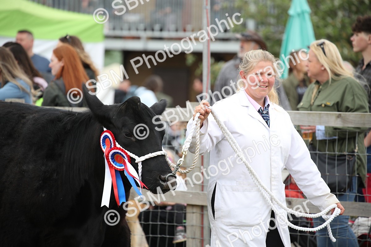 SBM_07818 - Grand Parade