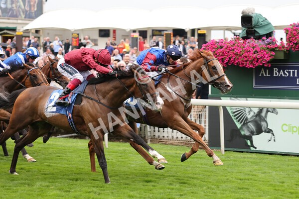 yr19082021r3-35 - Race 3 3.00pm Clipper Logistics Stakes