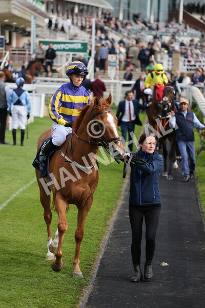 yr13052022r7-12 - Race 7 5.15pm Longines Irish Champions Weekend Stakes