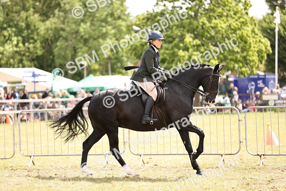 SBM_14787 - Class 88-89 - LIHS BSHA Rising Star of Ridden Hunter Type