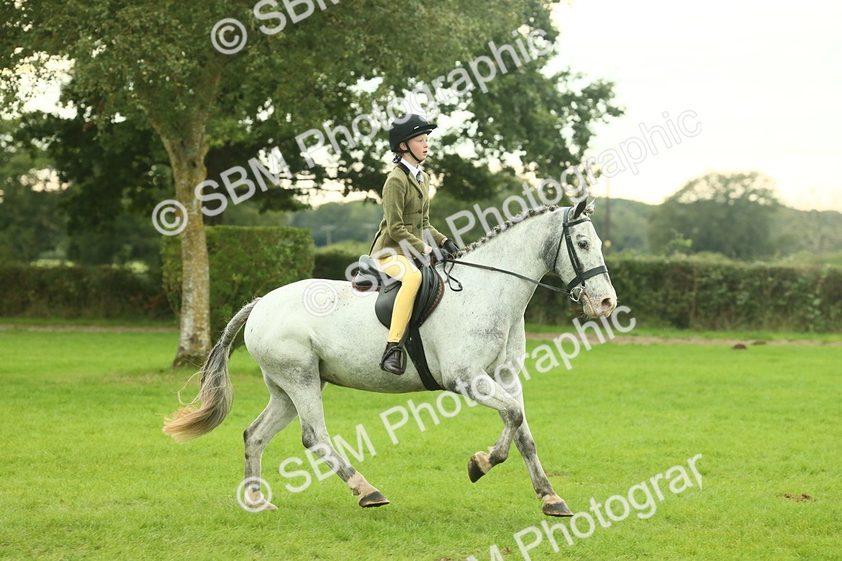 SBM_73942 - S 61 - Show Pony & Show Hunter Pony Ridden