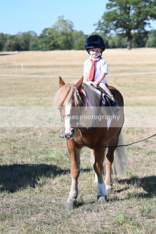 WJ7_2164 - Class 44 Child's Best Friend