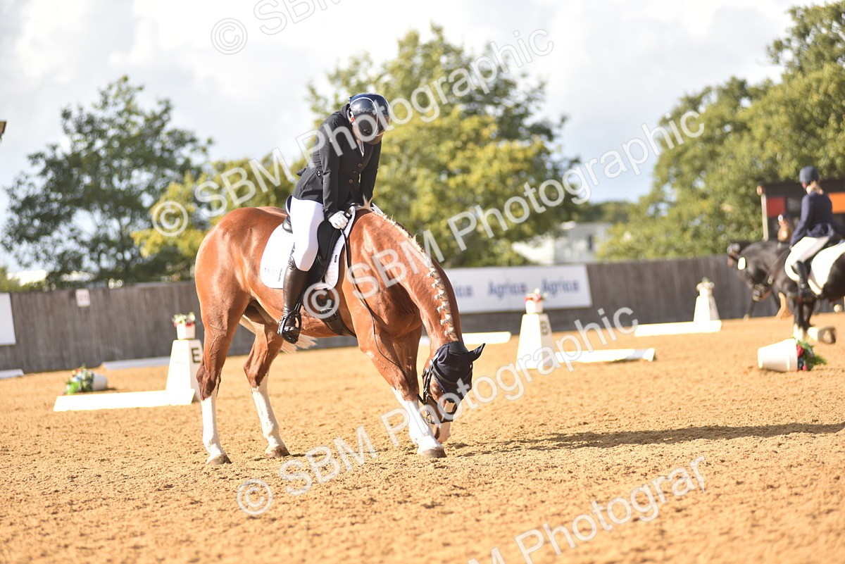SBM_29585 - D16 -Small Tour Championship Novice 2