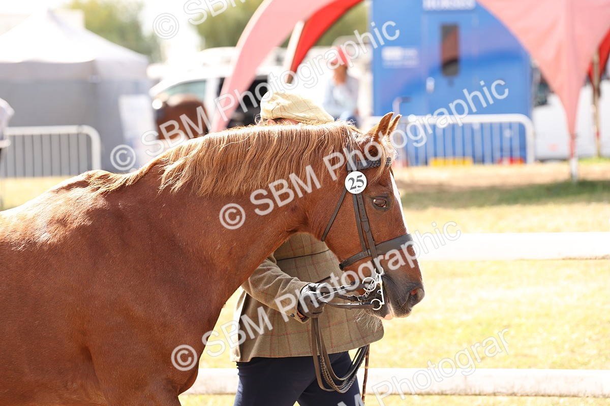SBM_15023 - Class 209 - IH Veteran Pony