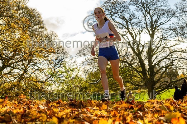 NatRel25-913677 - Young Female Set Two