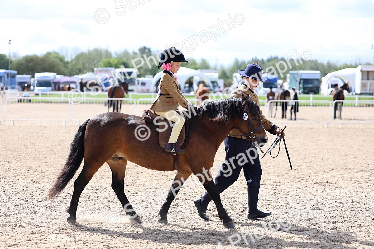 SBM_13077 - Class 309 - Lead Rein Pony