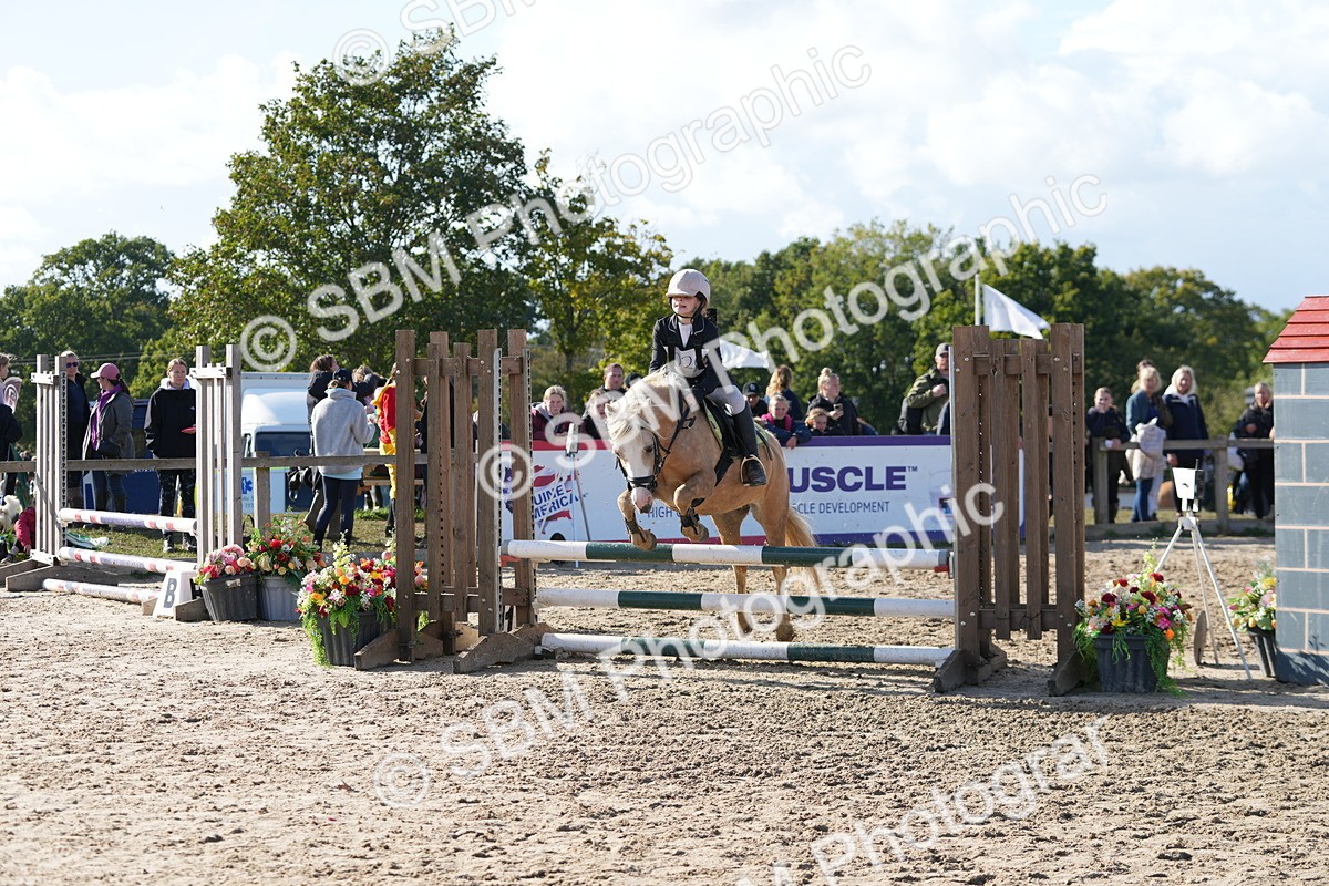 SBM_49286 - J8 - Junior Pony 65cm Championship
