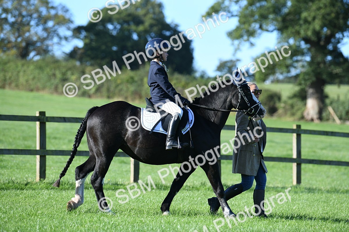 SBM_35285 - S17 - Condition & Turnout - Lead Rein
