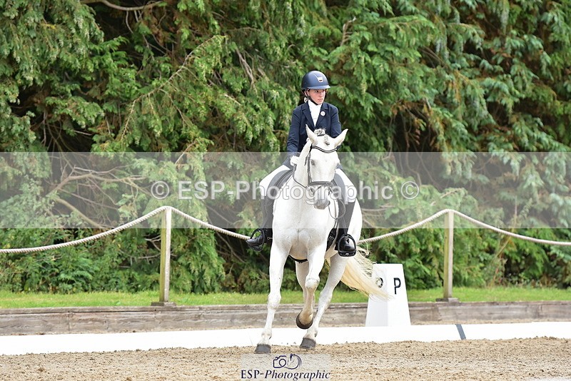 250719A-153524-06894 - 024-Neve.Moran-Clareville.Golden.Knight