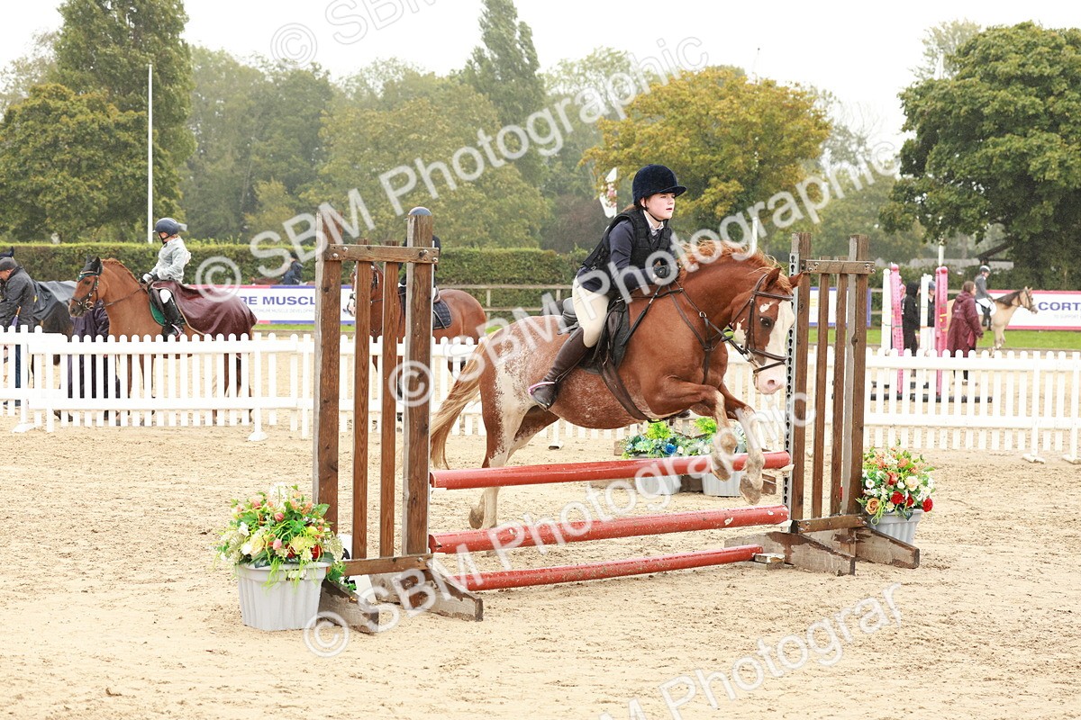 SBM_71291 - J14 - Junior Pony 65cm Championship