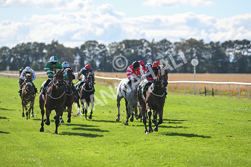 290825-Race 4-Eternal Sunshine-9006 - Race 4