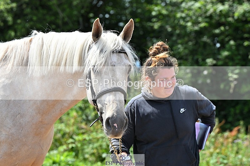 240718A-105314-01734 - Trot Up 1pm to 2pm