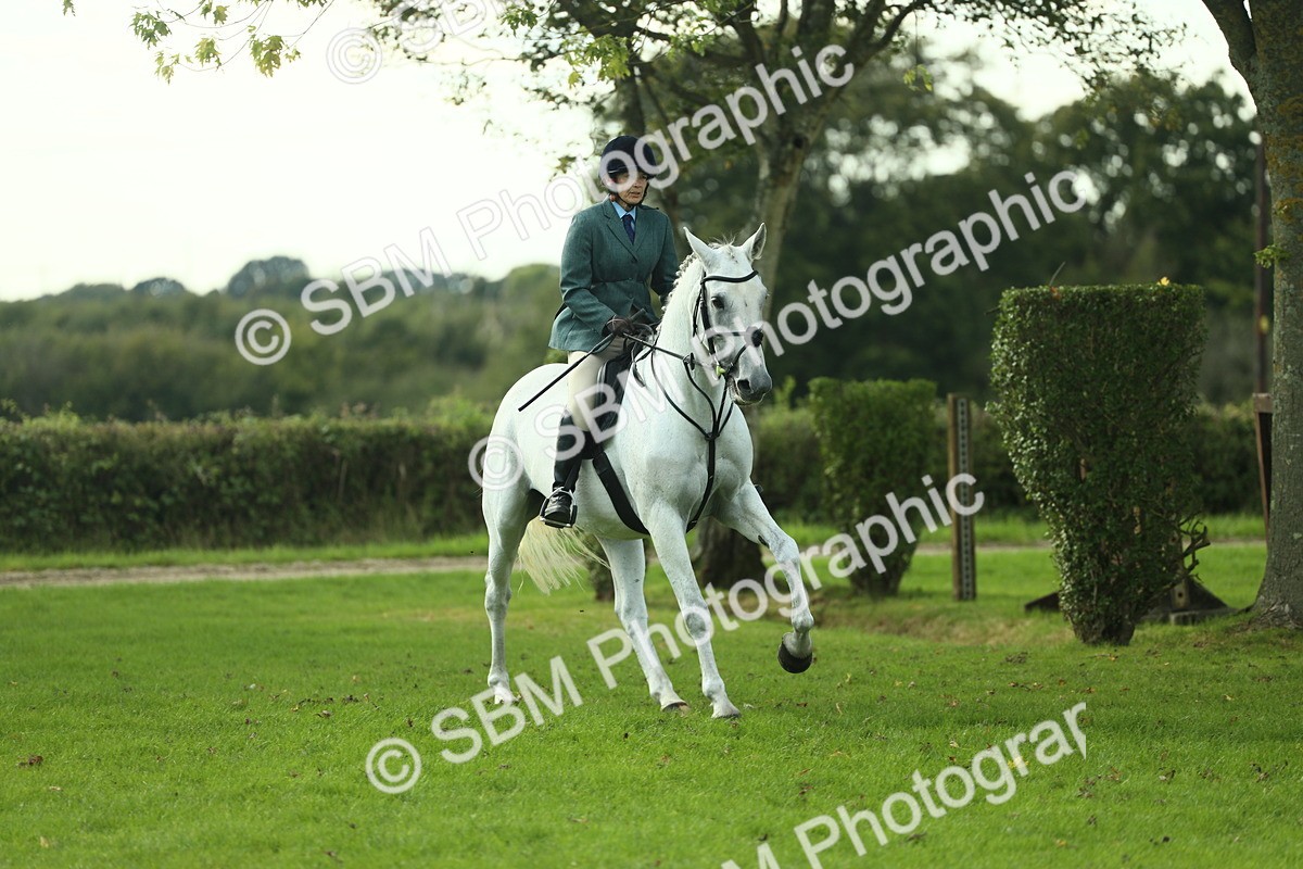 SBM_50672 - S33 - Working Hunter & Working Show Horse