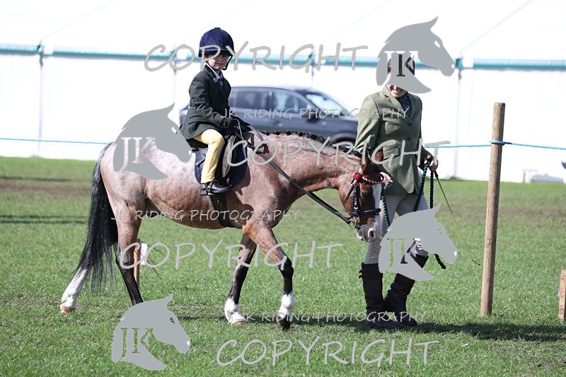 APP_3799 - Class 13 Lead rein