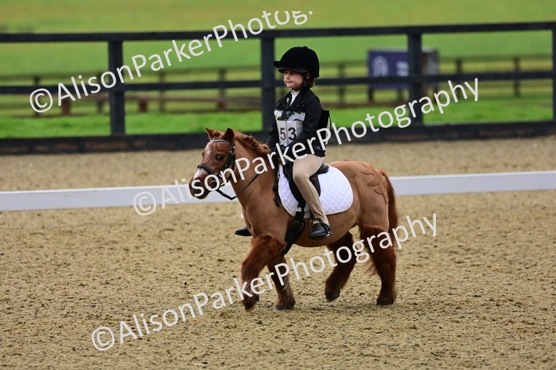 20260125-0551 - Class 9b - Walk Trot Unassisted