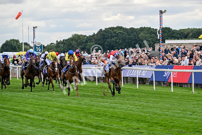 210826-Race 1-Blue Courvoisier-4942 - Race 1 13.50pm Sky Bet Mile Handicap