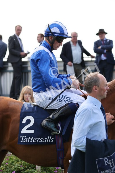 yr18082021r2-10 - Race 2 2.25pm Tattersalls Acomb Stakes
