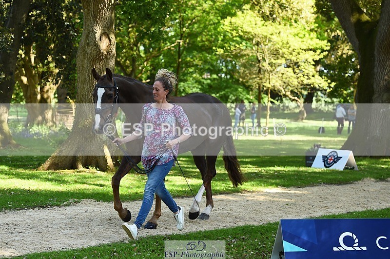 230524-154256-00450 - 376-DIRECT_BALLYTARSNA_DUCAREL-Jodie_Amos-WEDTrotUp+DR