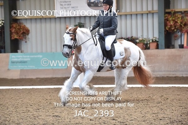 JAC_2393 - CLASS 3 NOVICE 1