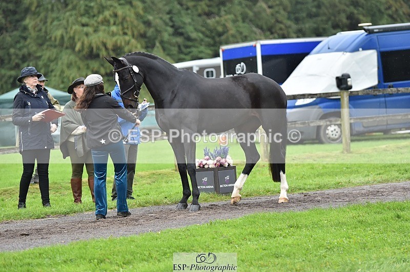 231018-124126-00453 - 054-PORSCHE-Coco.Lanni-TrotUp