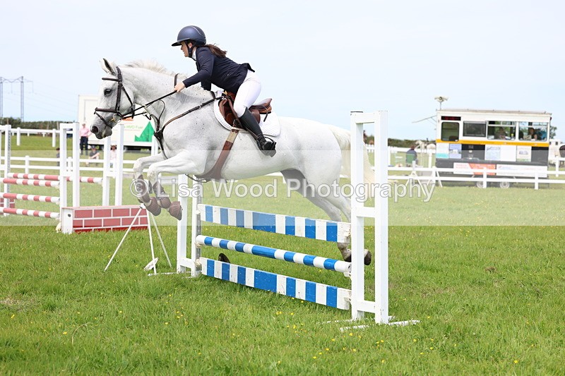 3E7A1533 - Class 13: Senior British Novice/90cm open
