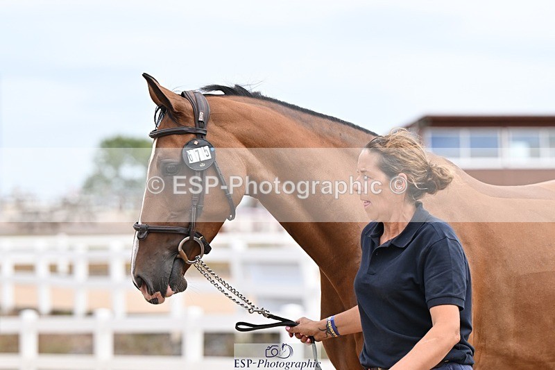 250716-151744-01848 - Trot Up 2.30 to 3.30