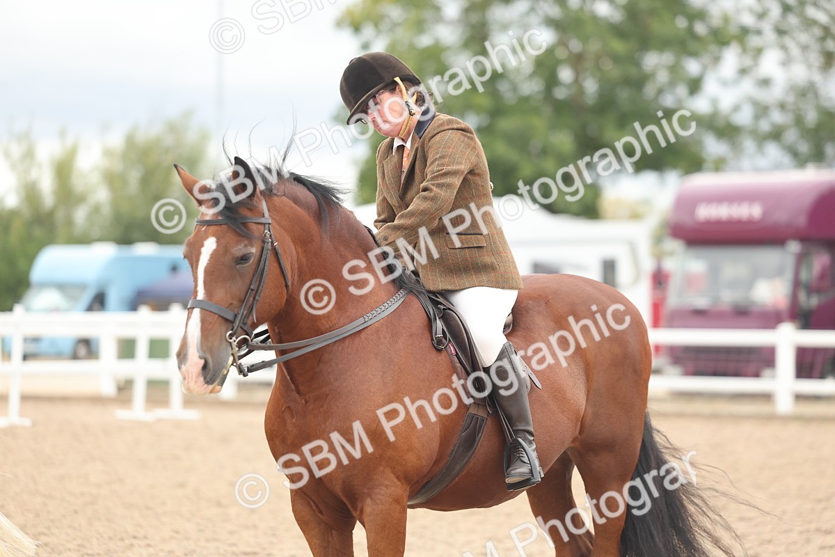 SBM_18200 - Class 315 - Best Horse-Rider Combination