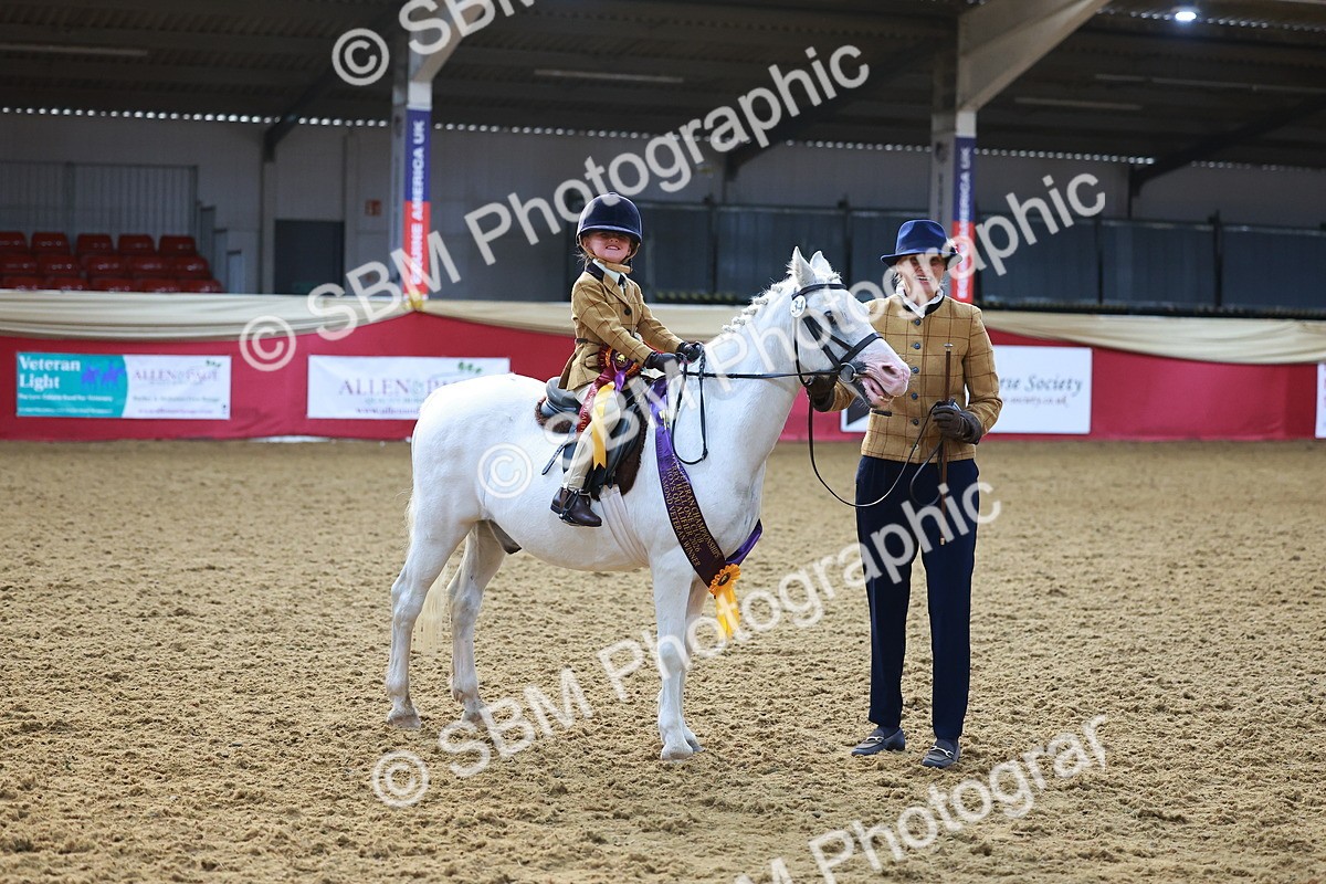 SBM_07748 - Class 101 - HOYS Veteran Qualifier - Ridden Diamond