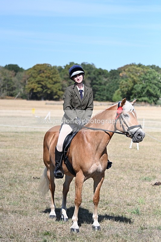 WJ7_1310 - Class 41 Prettiest Mare