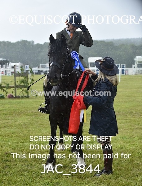 JAC_3844 - 65cm WORKING HUNTER