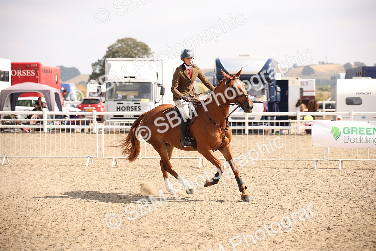 SBM_15015 - Class 408a - Working Veteran 70cm (15-19