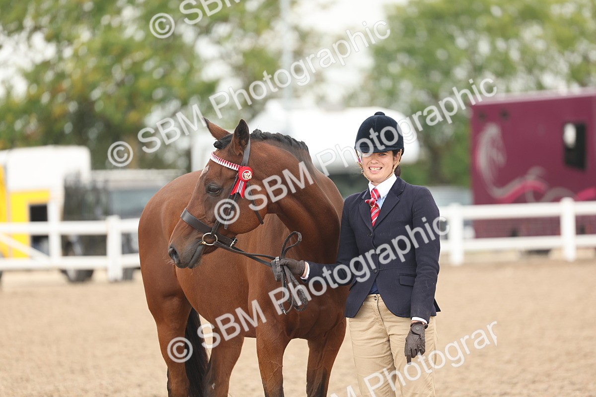 SBM_07639 - Class 26 - IH Foreign Breeds - Part Bred