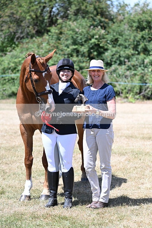 WJ7_2513 - Most Handsome Gelding Champs