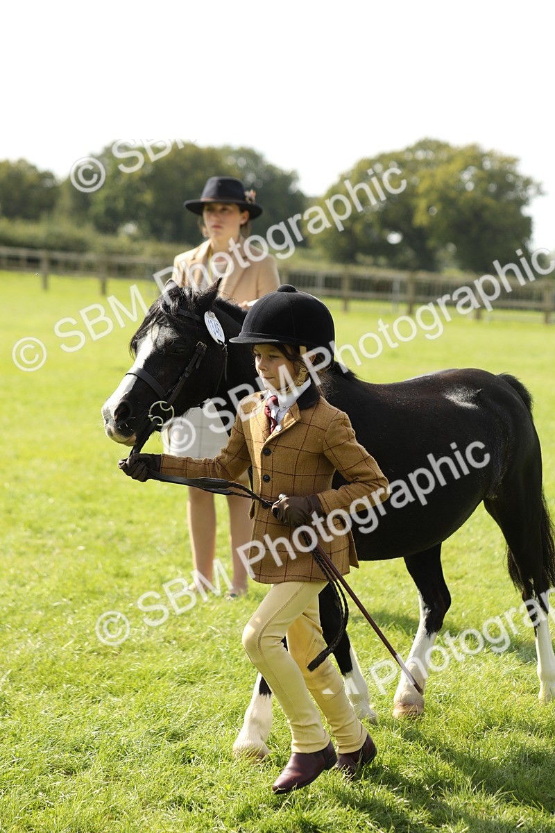 SBM_67803 - S39 - Junior Handler 8  Years & Under